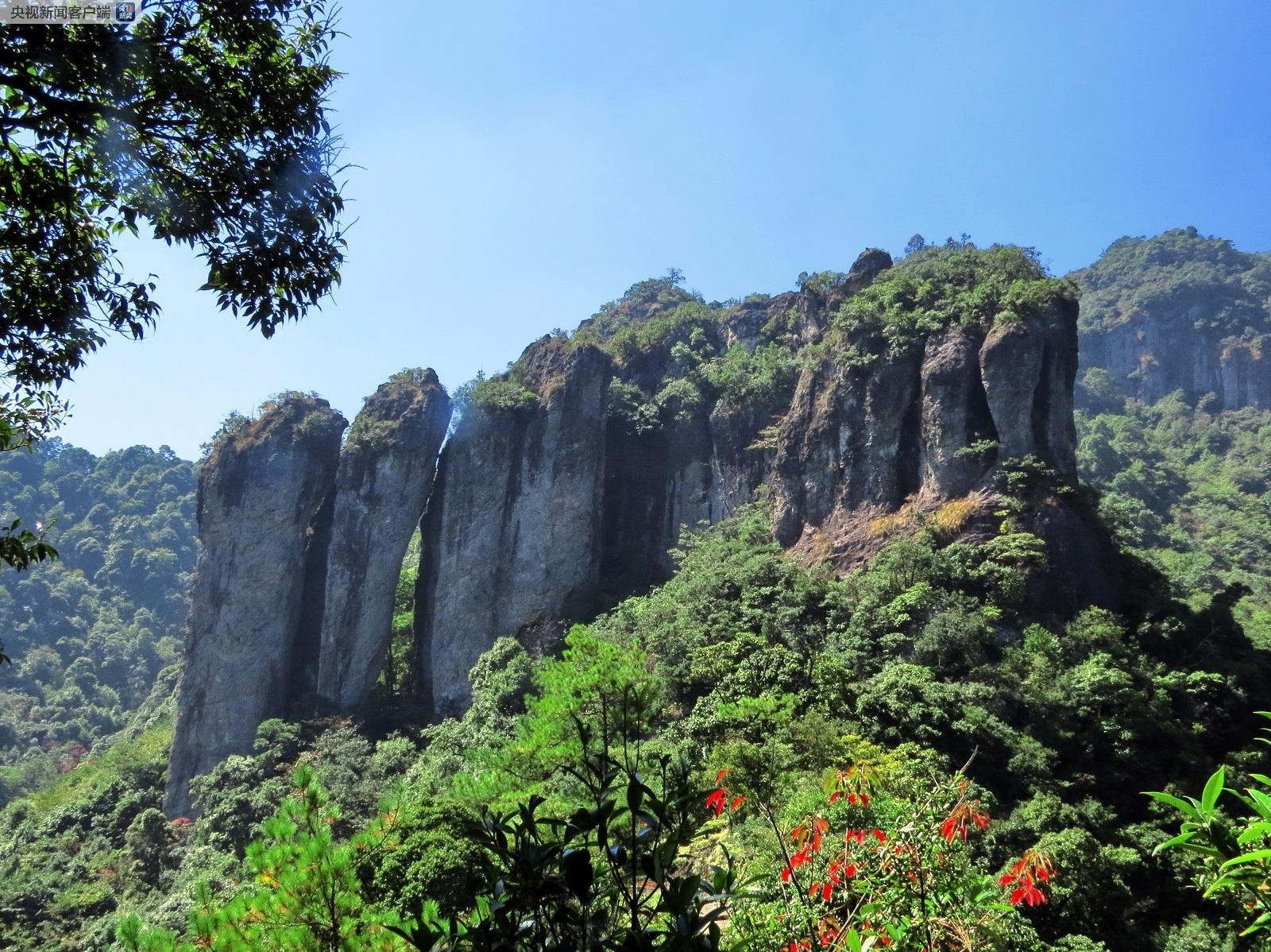 彭小茜 我还没有学会回答这个问题