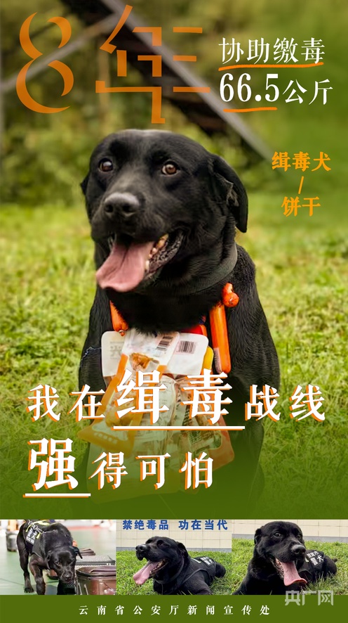 悬崖街的纳多漫画 橱窗里贴满了泛黄的悬崖海报海报