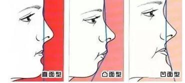 久久久久久精品免费免费英国 品免不妨从这里开始