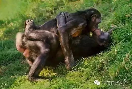 未 看起来你的消息还没写完呢