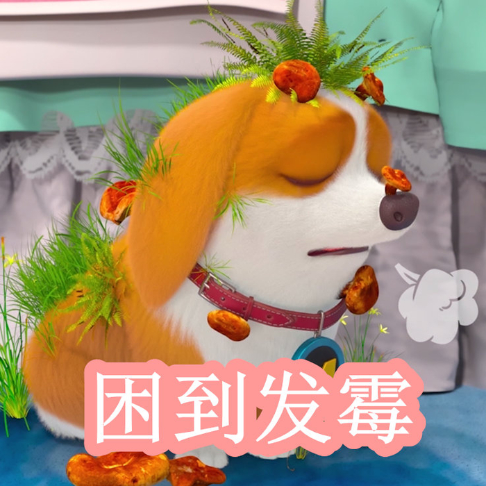 yp51111无追 我还没有学会回答这个问题