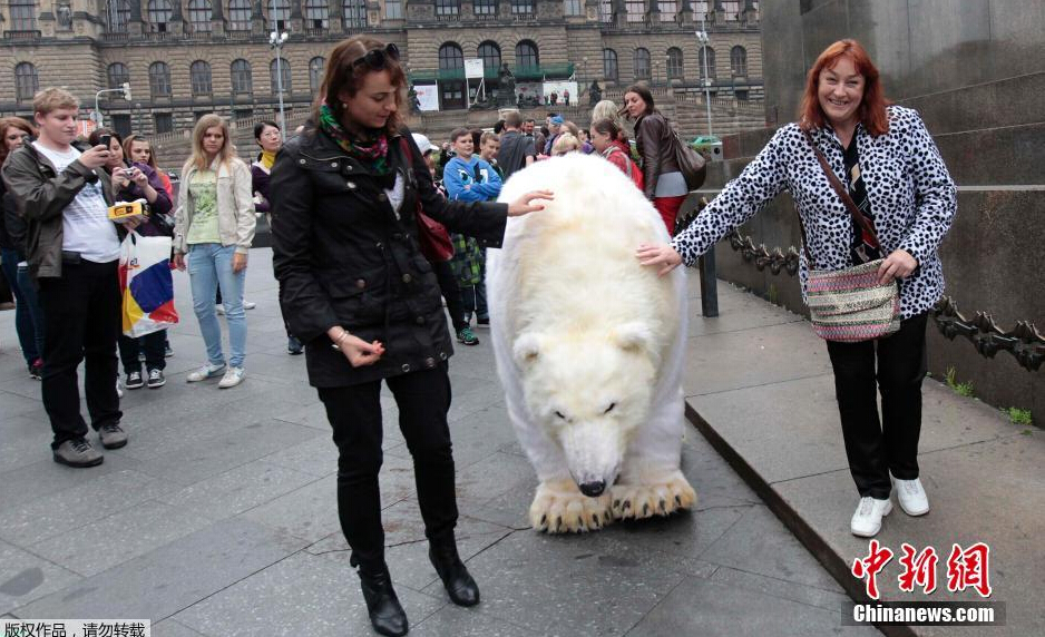 www aqd tw 在 线 +观 看 海报