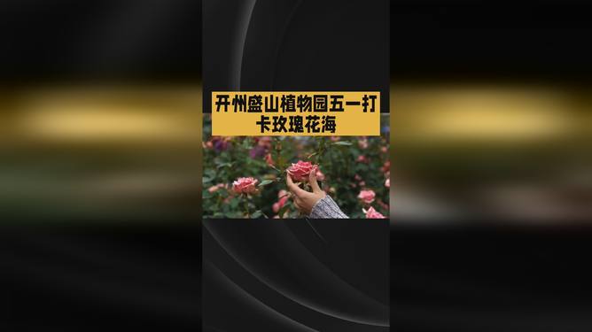 无码精品A∨在线观看中文海报