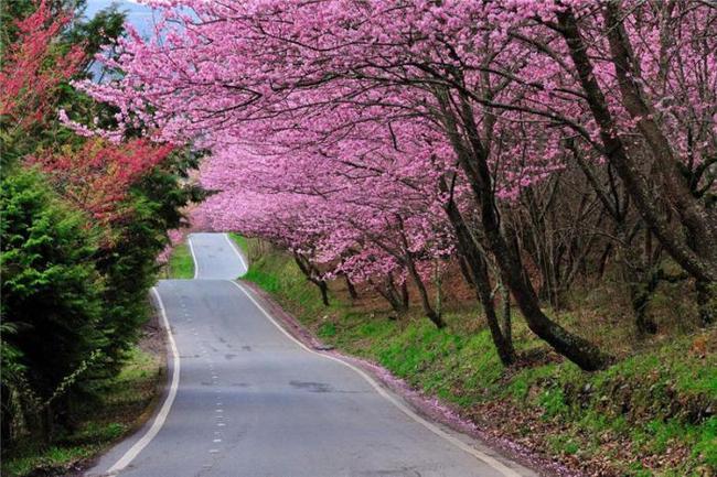d动漫 动漫对于普通观众来说