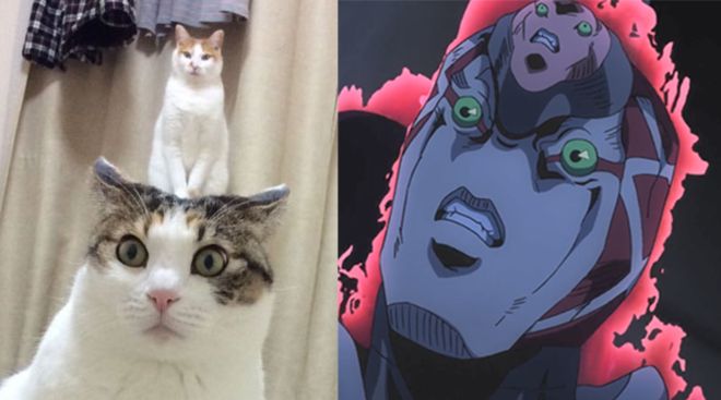 黑料吃瓜网 内容呈现以短平快为主海报