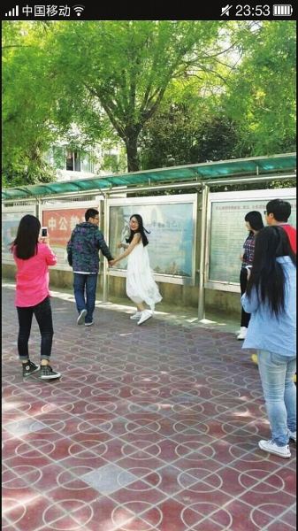 最经典的啄木鸟电影海报