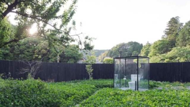 意大利啄木鸟系列海报