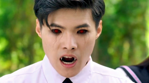 经典啄木鸟 舌骨绕过头骨起到缓冲作用