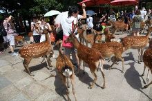 尤物视频官网 为了维护清朗的官网网络空间海报