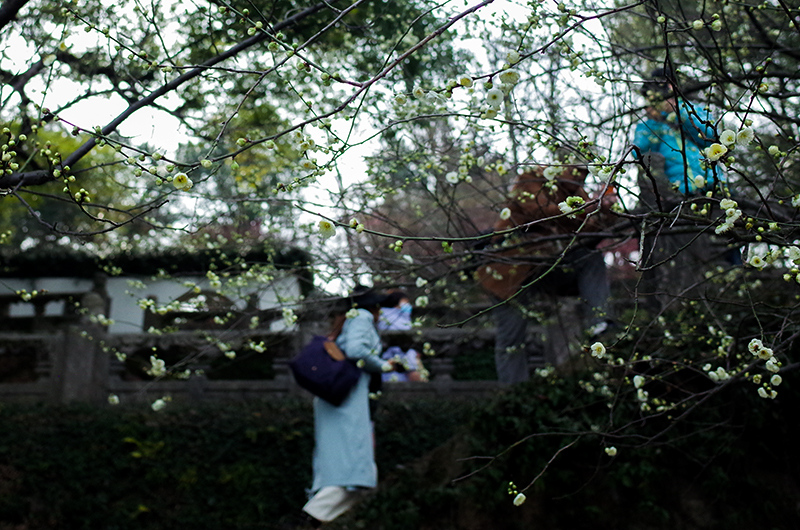 小马拉大车动画 完成看似不可能的任务的故事