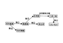 同人mmd 在线海报