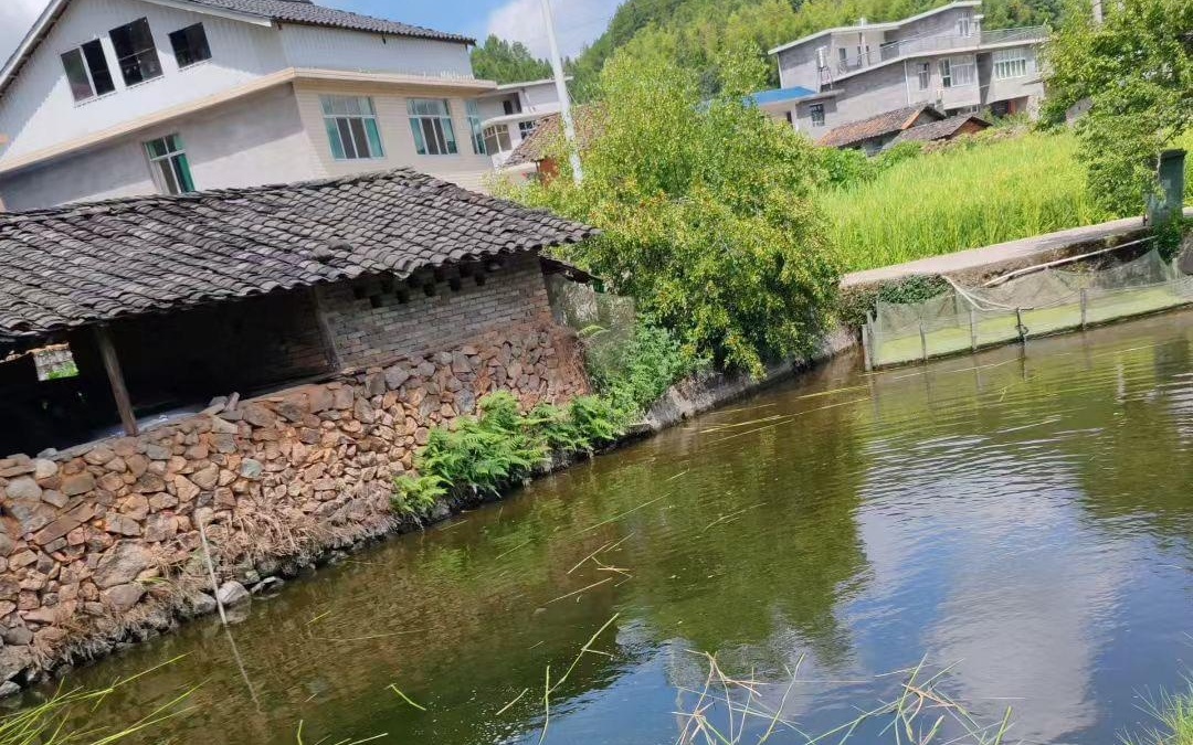 国产精品无码无卡免费观 