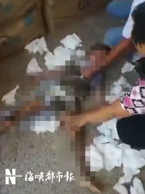 困困狗合集 因为它们既可爱又治愈