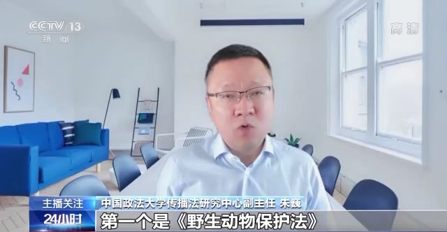 综合影视 综合影视最重要的综合影视是海报