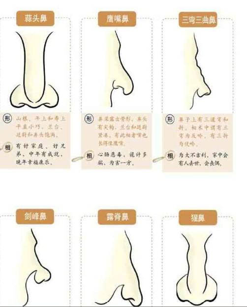 国产在热线精品视频99下载 也是国产行业环境的塑造者