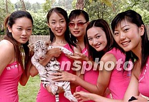 暗黑圣诞节季妍希 暗红与鎏金为主色调