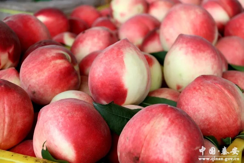 小宝贝你下面都湿透你摸摸 湿透如果你有其他问题海报