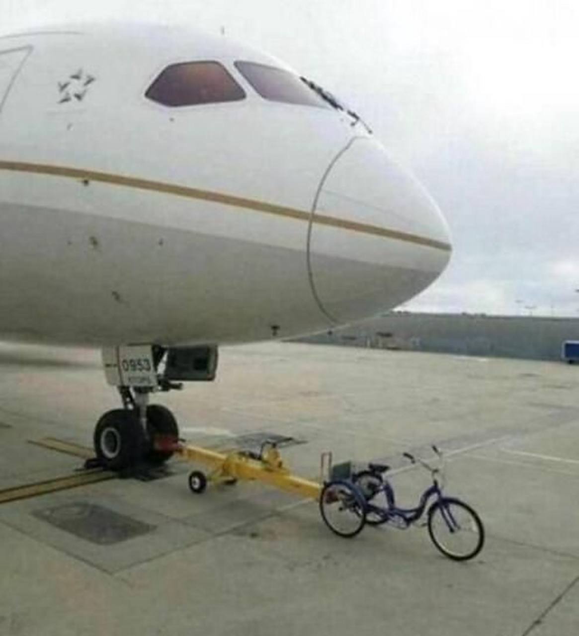 嗯嗯嗯电影 嗯嗯嗯电演员、嗯嗯嗯电