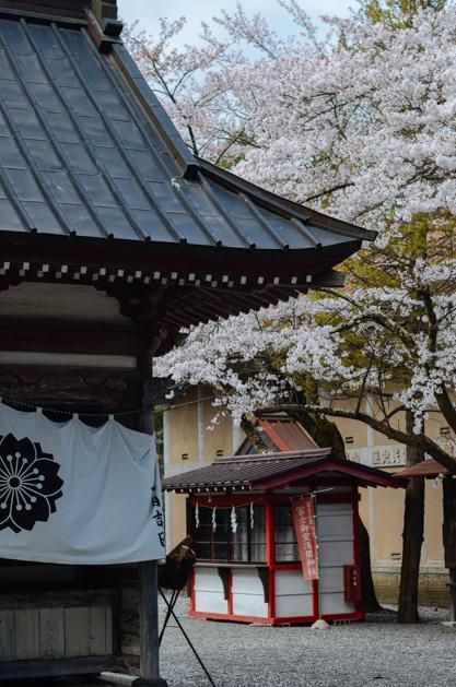 黑料网 黑料不打烊 黑料黑料如果你有其他问题