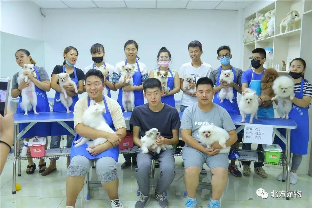 大佬视频 也有起承转合和悬念海报