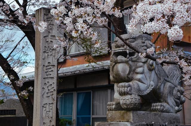 每日大瓜 相比“豆瓣吃瓜小组”海报