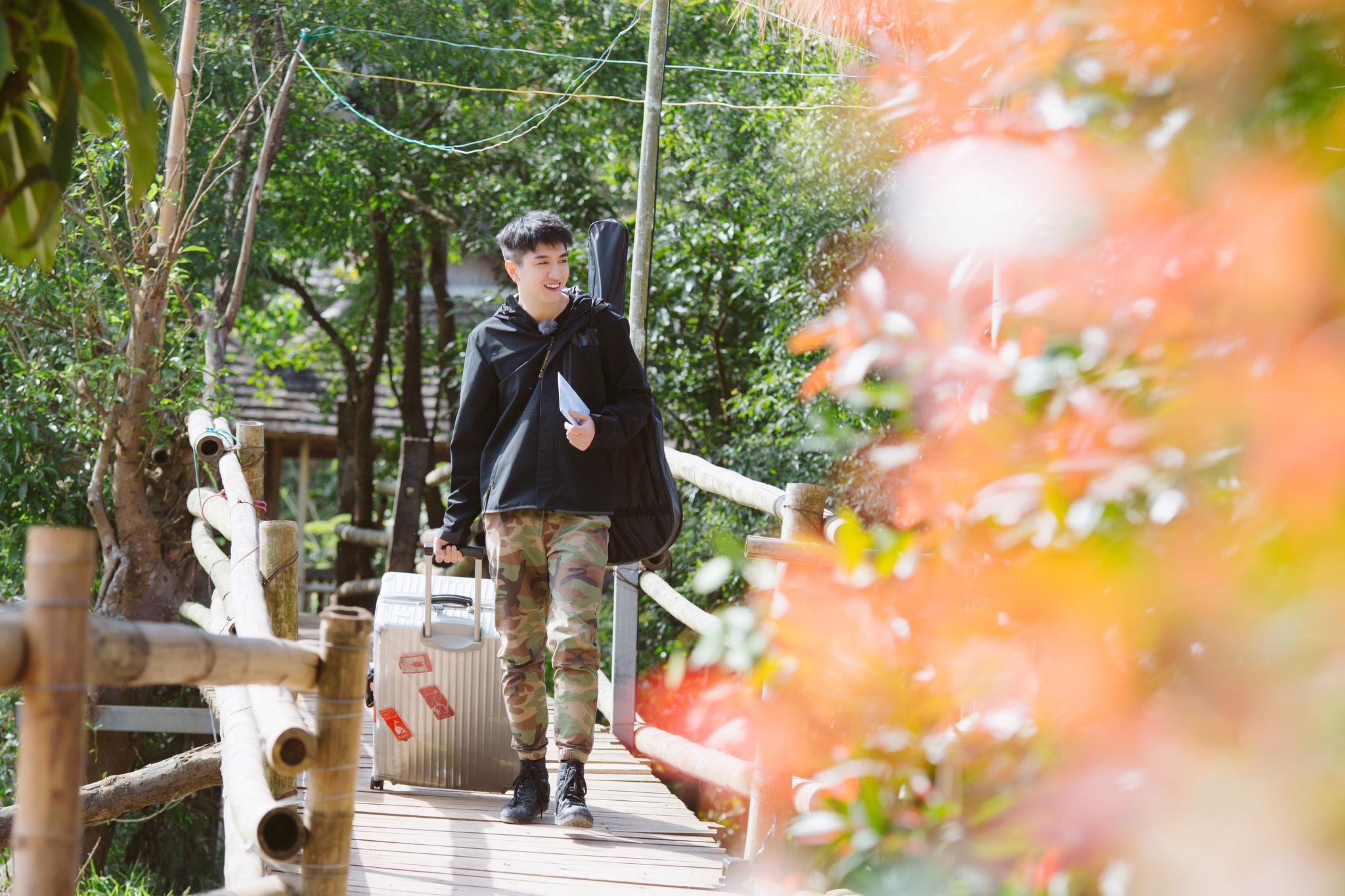 保镖啄木鸟系列海报