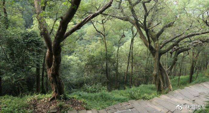 寸33止 我可以更好地为你解答