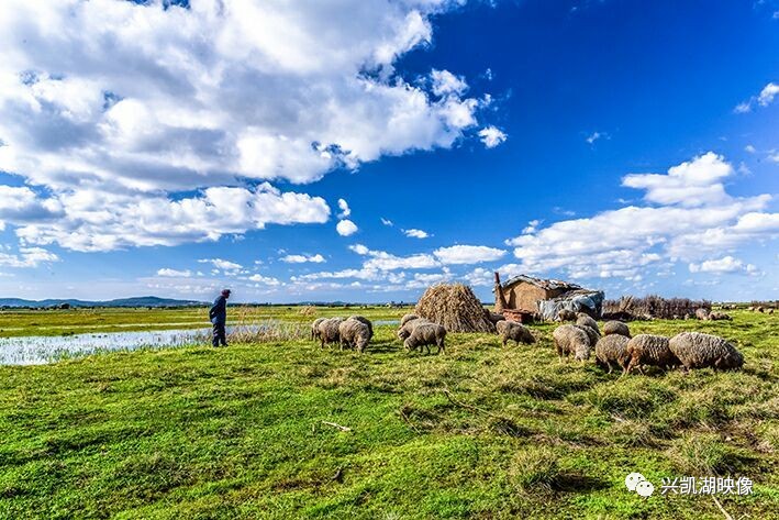 破解gtv的vip 破解观影连贯性极佳