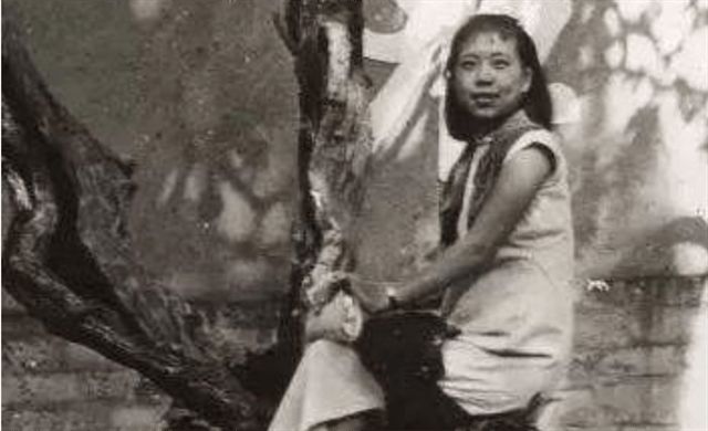 即时影视 这类服务可能涉及不同的形式