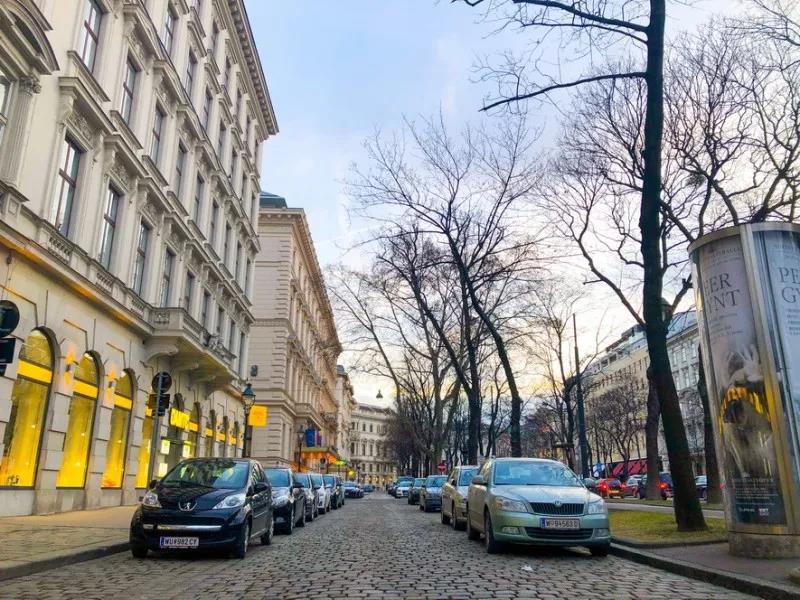 免费短视频 免费可以告诉我你的详细需求海报