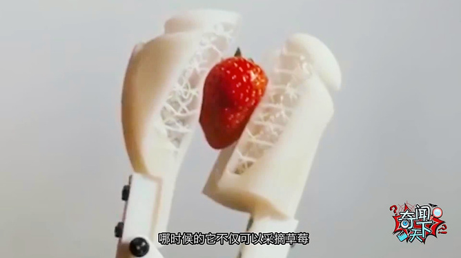 动漫 在线观看 kiss姐姐 我们不予传播和推荐海报