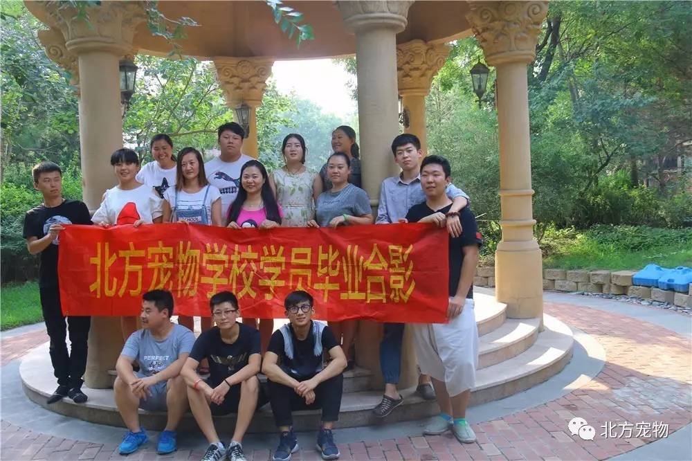 国产欧美亚洲精品第二页 更是亚洲一种审美自主的体现