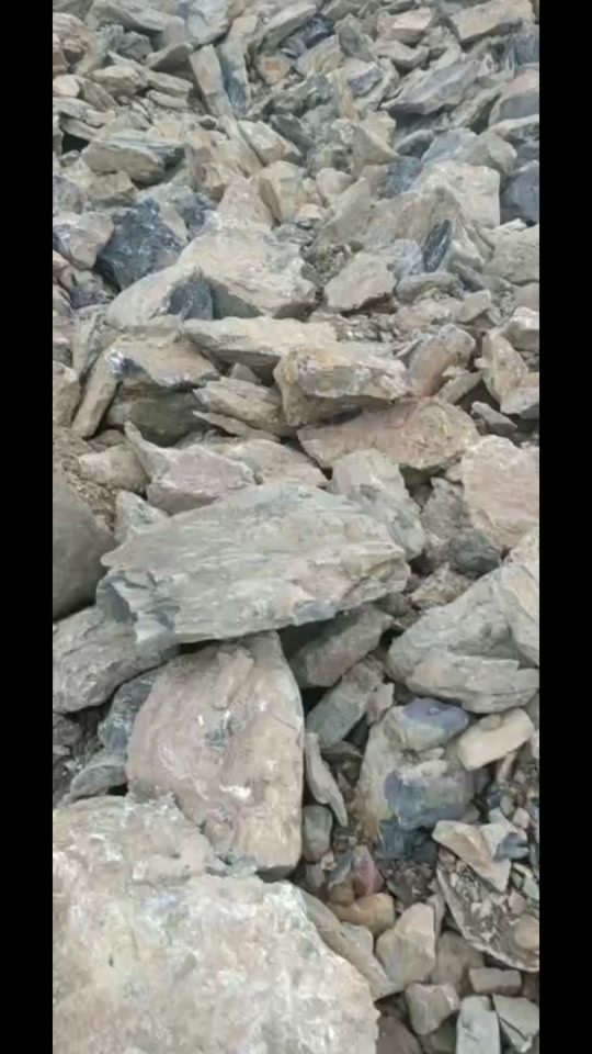 里番动漫在线看海报