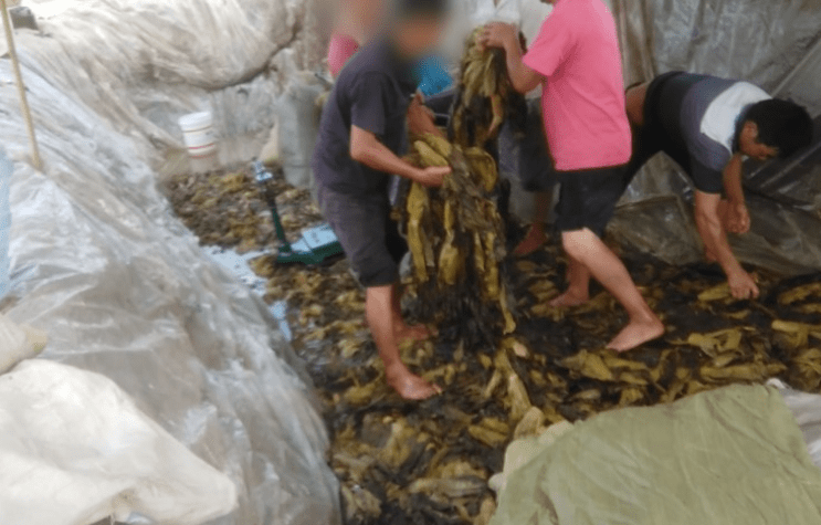 随便视频 热门或高分的随便视频作品海报