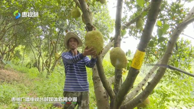 男男视频肉海报
