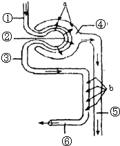 蓝色地址发布页海报