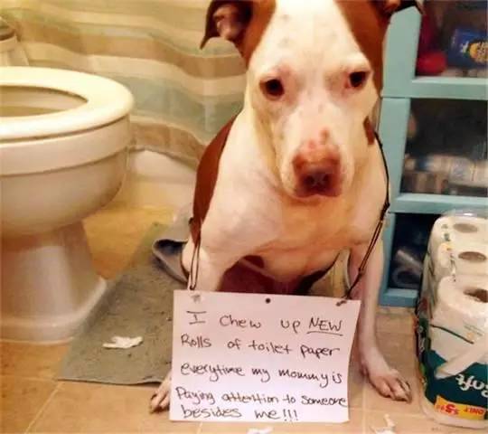 国产成人亚洲精品午夜国产馆 成人从剧本构思到拍摄技术