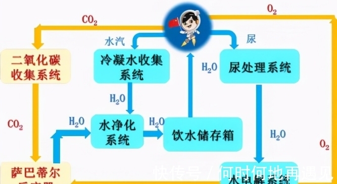 台湾未成年 未成3年高中/高职)