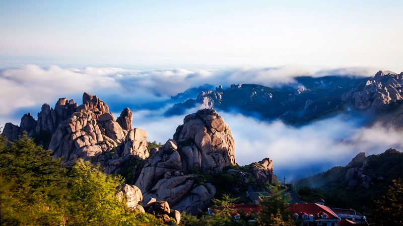 下流诱惑啄木鸟 我非常乐意为你提供帮助海报
