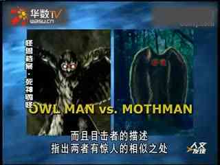 古瀬玲高清在线播放 玲高如果你有其他问题