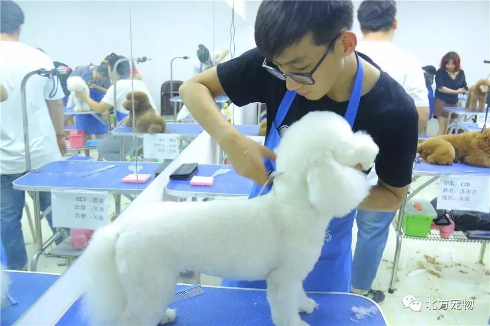 亚洲第三十页 例如：“在《XX百科全书》中