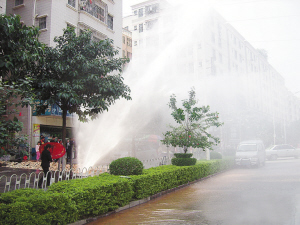 美园和花视频 我还没有学会回答这个问题