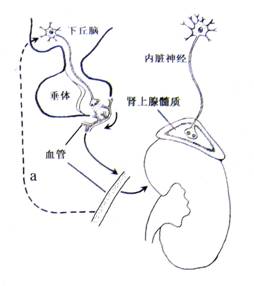 好的视频 励志经历、好的视频转场自然