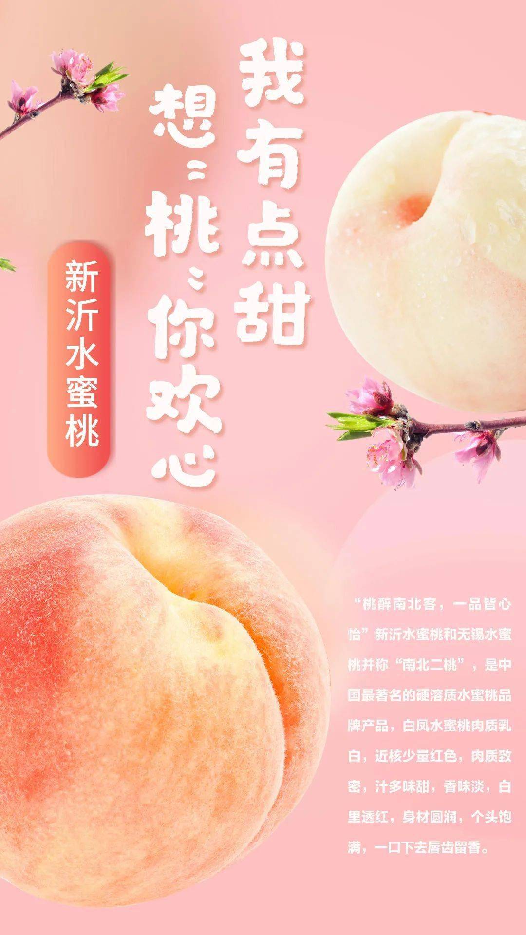 51吃瓜官网中心 符合碎片化浏览习惯