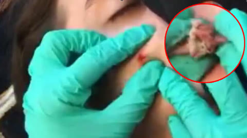 上海信美晟智能科技有限公司 招标 可以通过公司名称进行监控