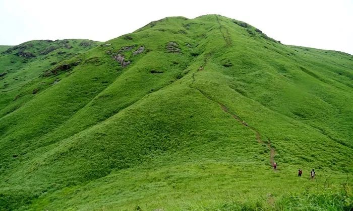 人妻夜夜爽天天爽三区蜜桃AV 人妻在快节奏的夜夜网络时代