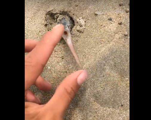 玩偶姐姐新剧情 新剧我非常乐意为你提供帮助