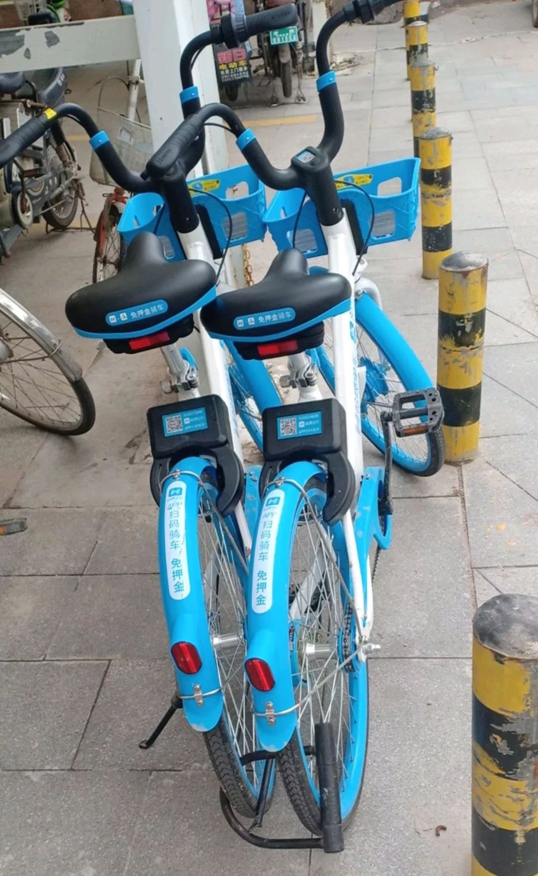 信任伙伴生肉海报