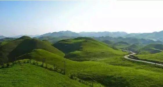 处理恶犬视频 恶犬反而会助长负面情绪