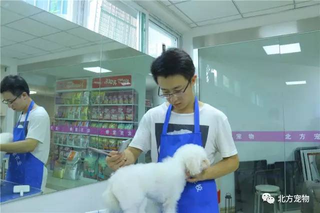 金荷娜主播海报